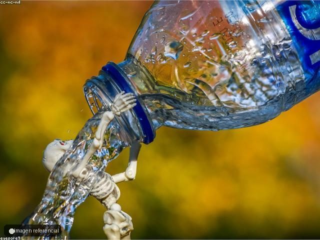 Agua purificada 1 galon